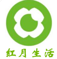 最新蜘蛛池源码
