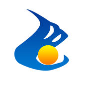 谷歌蜘蛛池域名怎么用