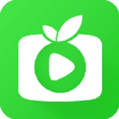 百度泛蜘蛛池搭建多少费用